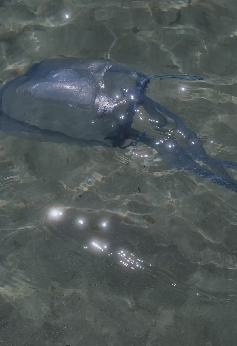 Meduse × Oy Bag in Ice Blue