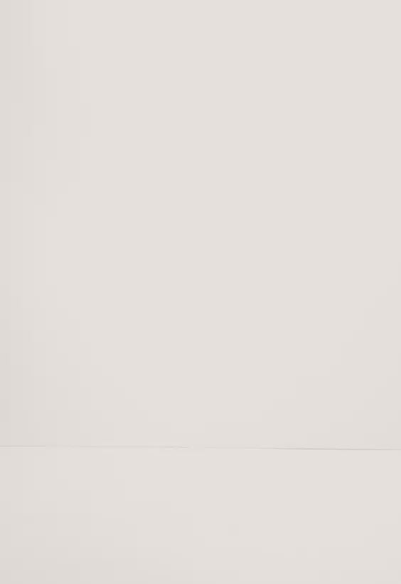 Surf Bikini Hose „Fugu“ in Dunkelgrün